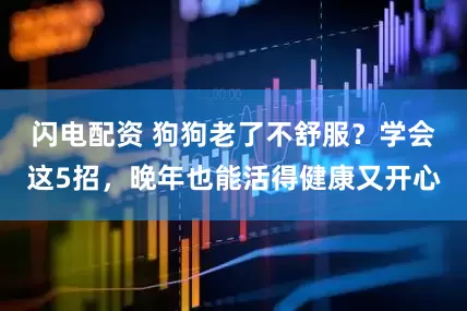 闪电配资 狗狗老了不舒服？学会这5招，晚年也能活得健康又开心
